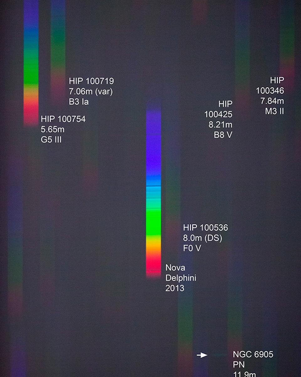 A Spectrum of Nova Delphini