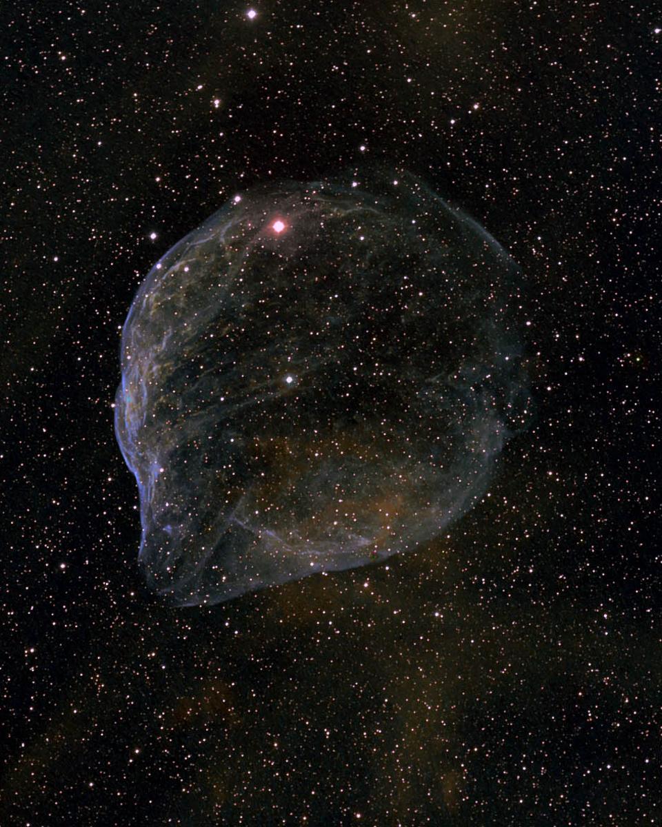 Sharpless 308: Star Bubble