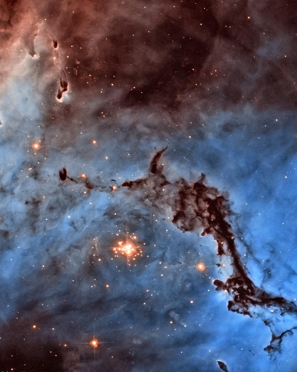 N11: Star Clouds of the LMC