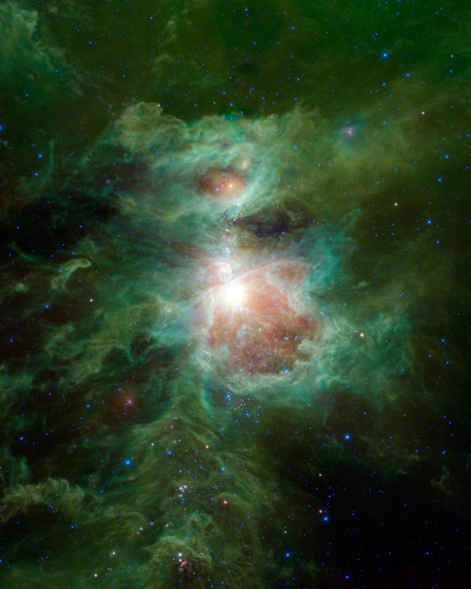 Infrared Orion from WISE