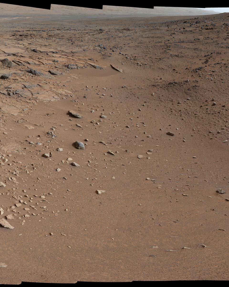 Mars: Shadow at Point Lake