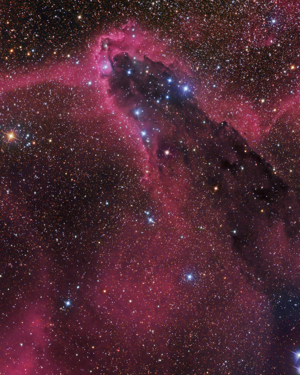 The Dark Tower in Scorpius