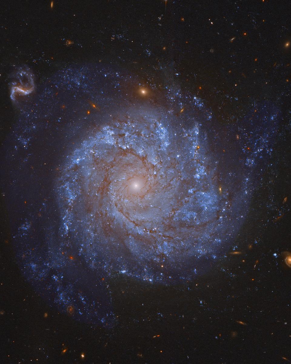 NGC 1309: Spiral Galaxy and Friends
