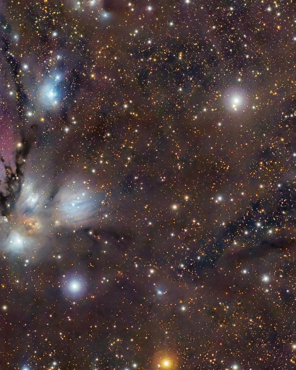 NGC 2170: Celestial Still Life