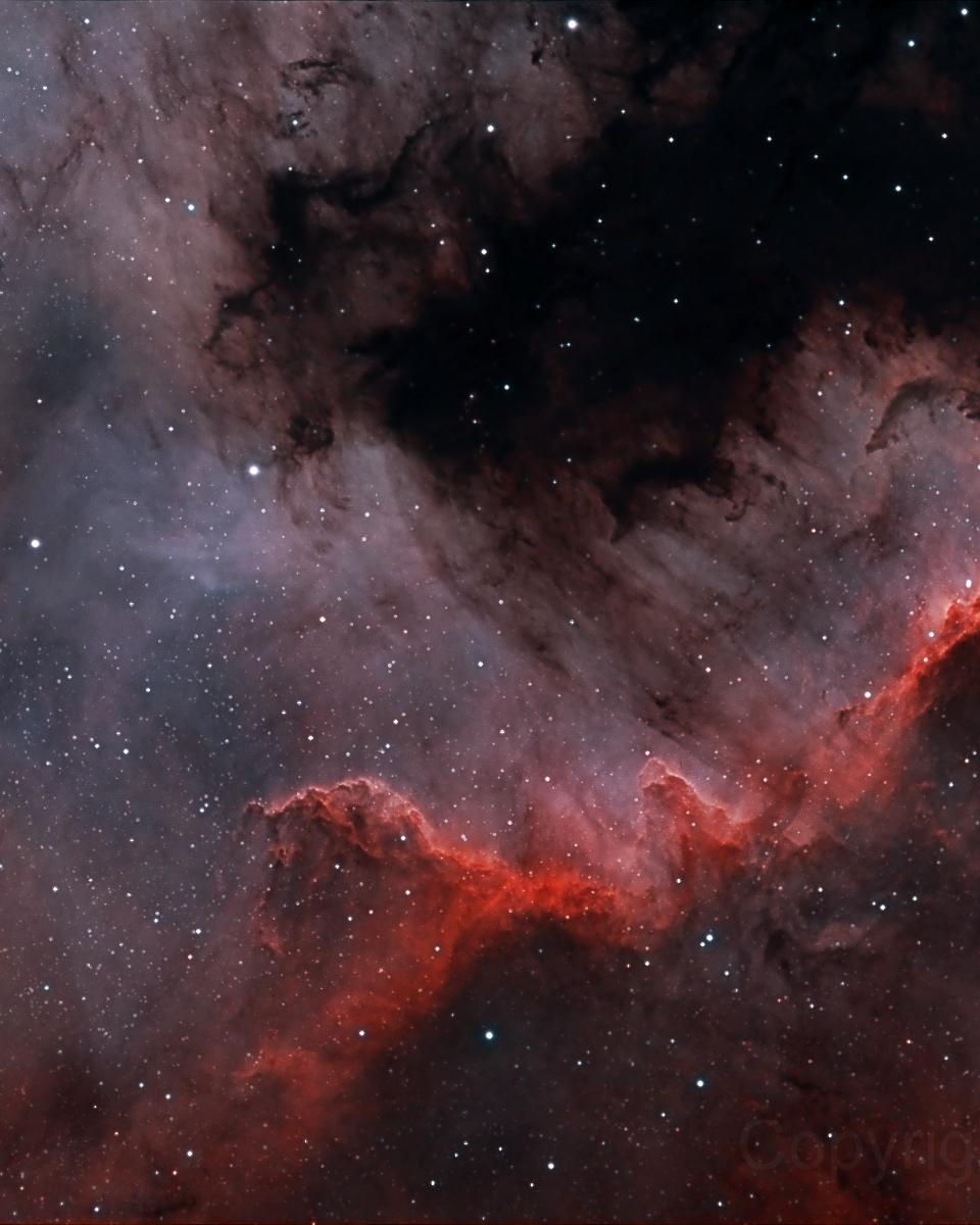 The Cygnus Wall of Star Formation