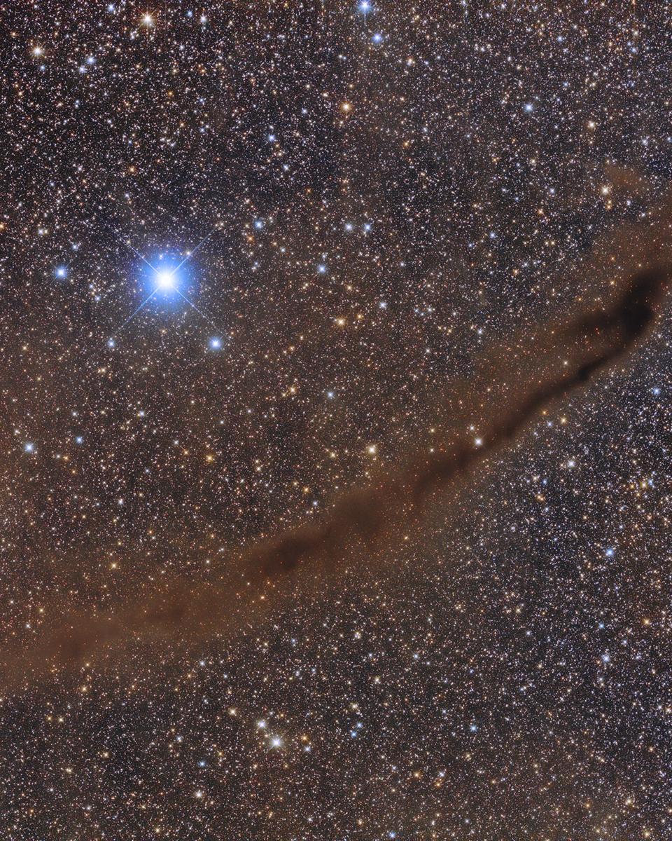 NGC 4372 and the Dark Doodad