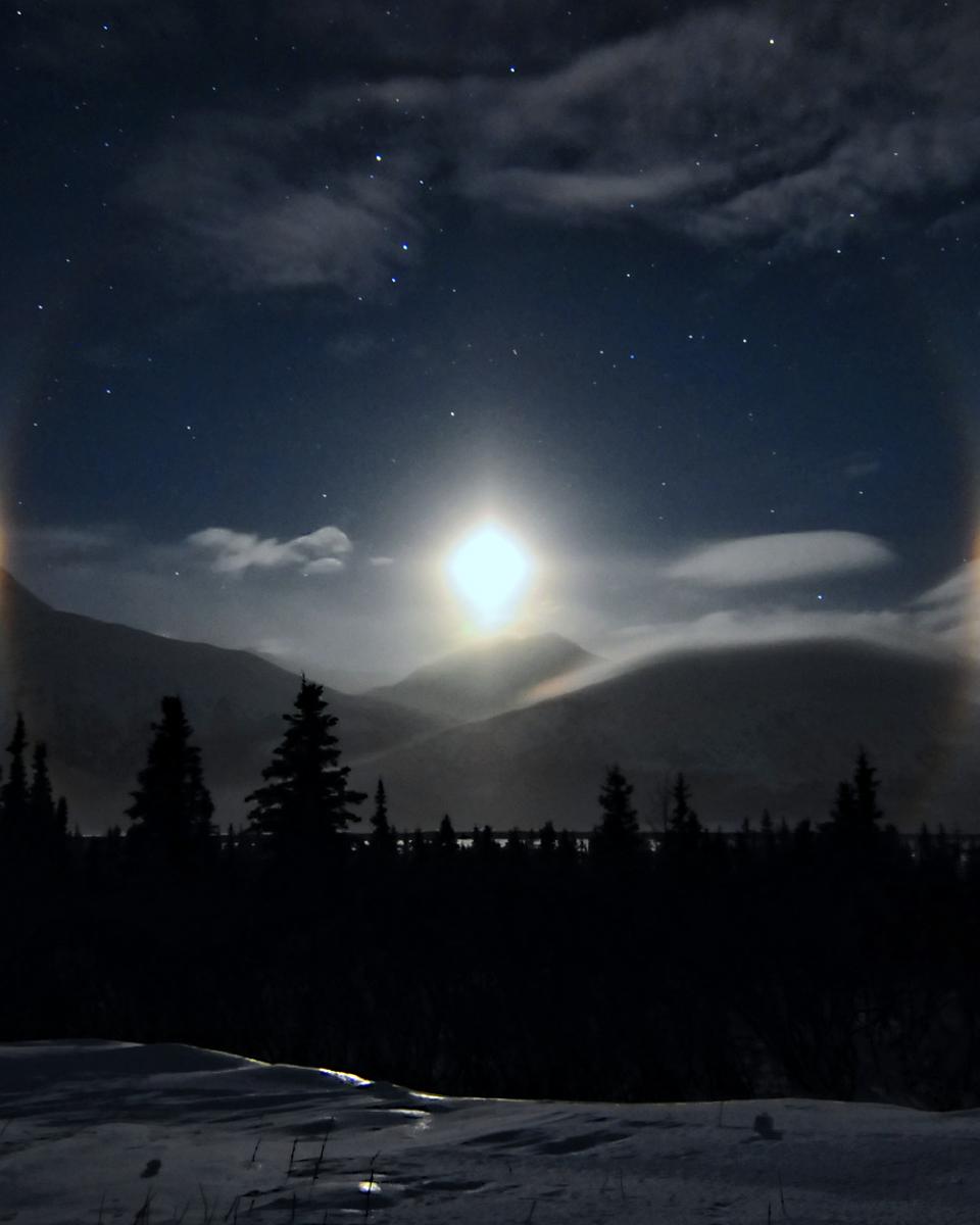 Alaskan Moondogs