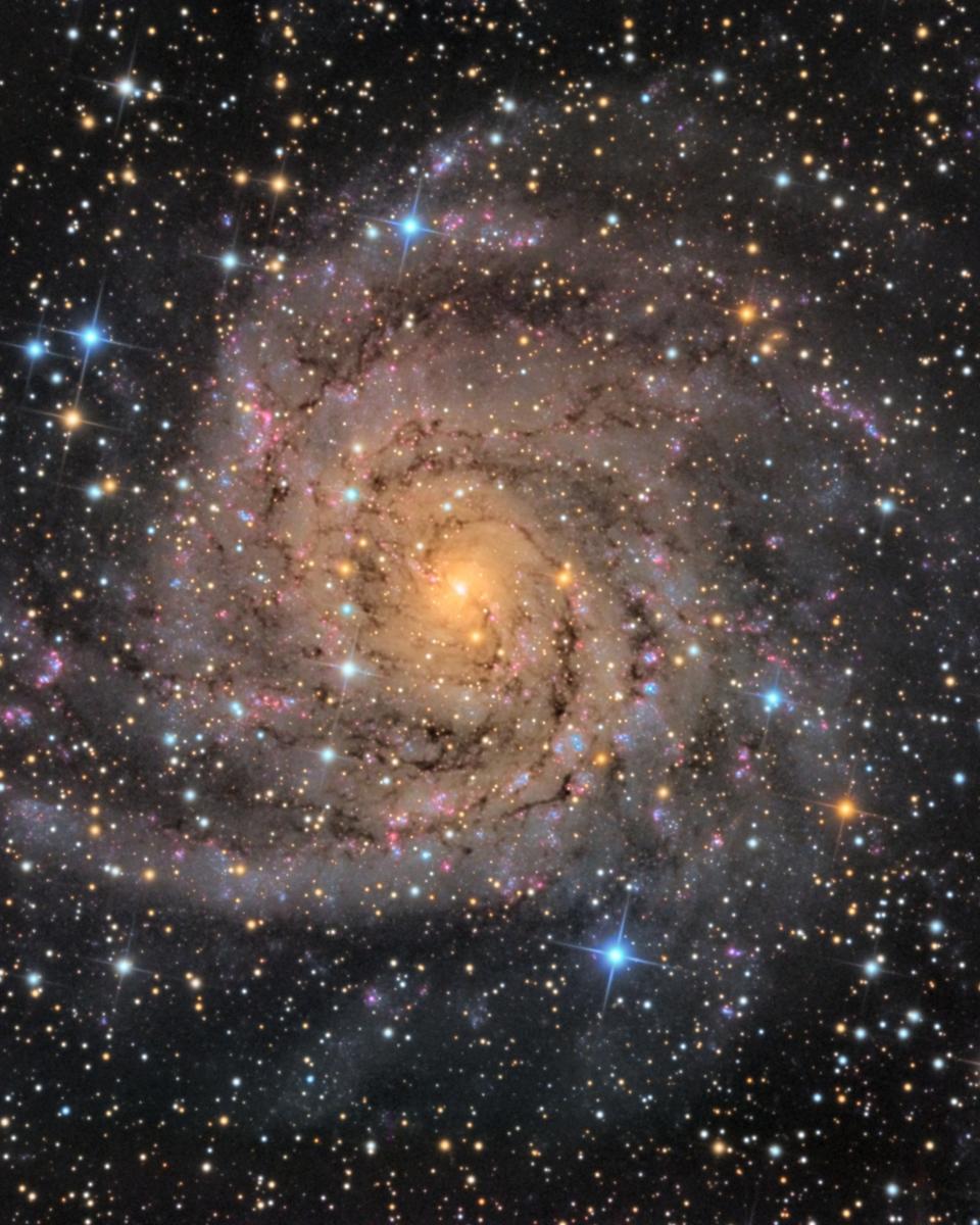 Hidden Galaxy IC 342