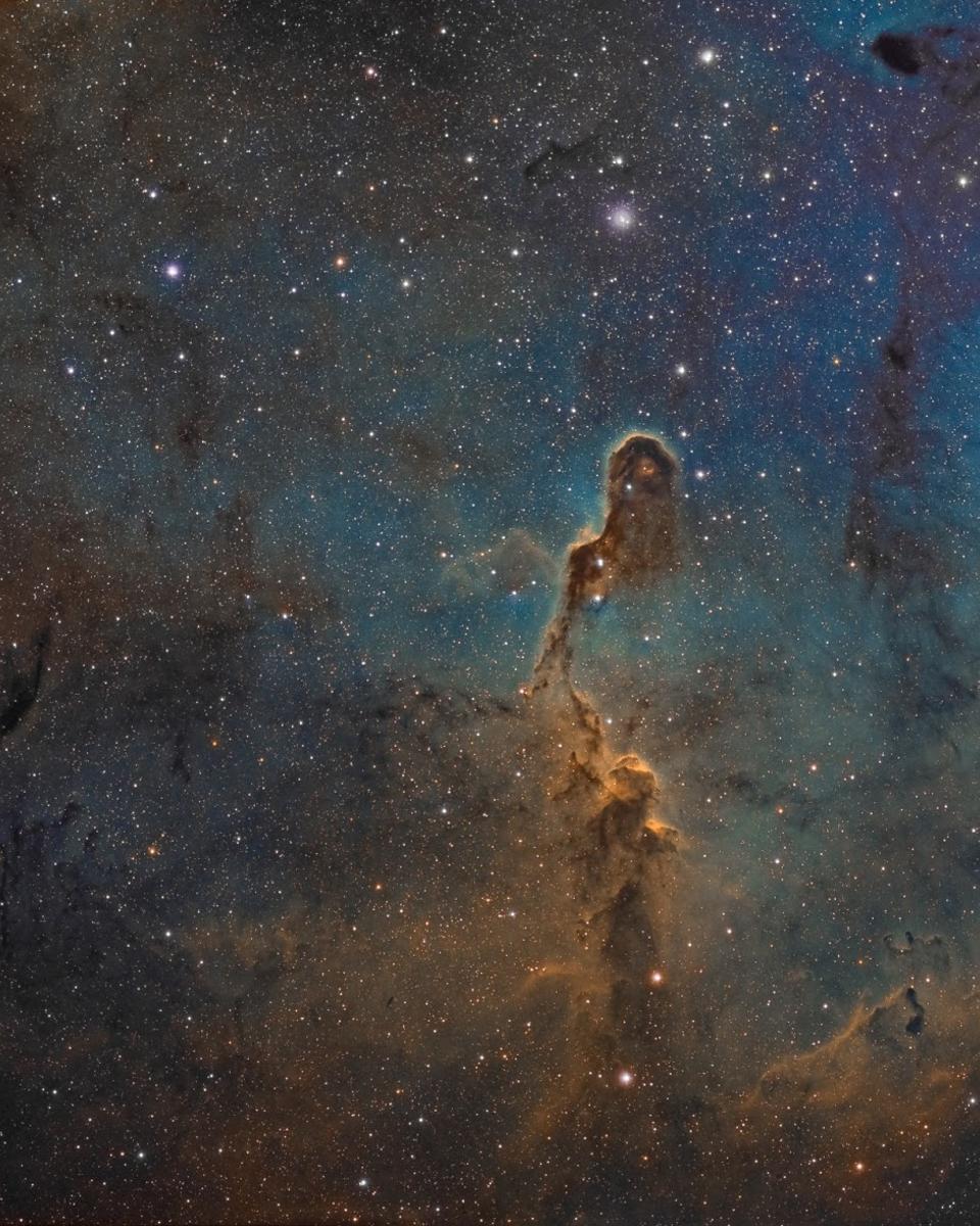 The Elephant's Trunk in IC 1396