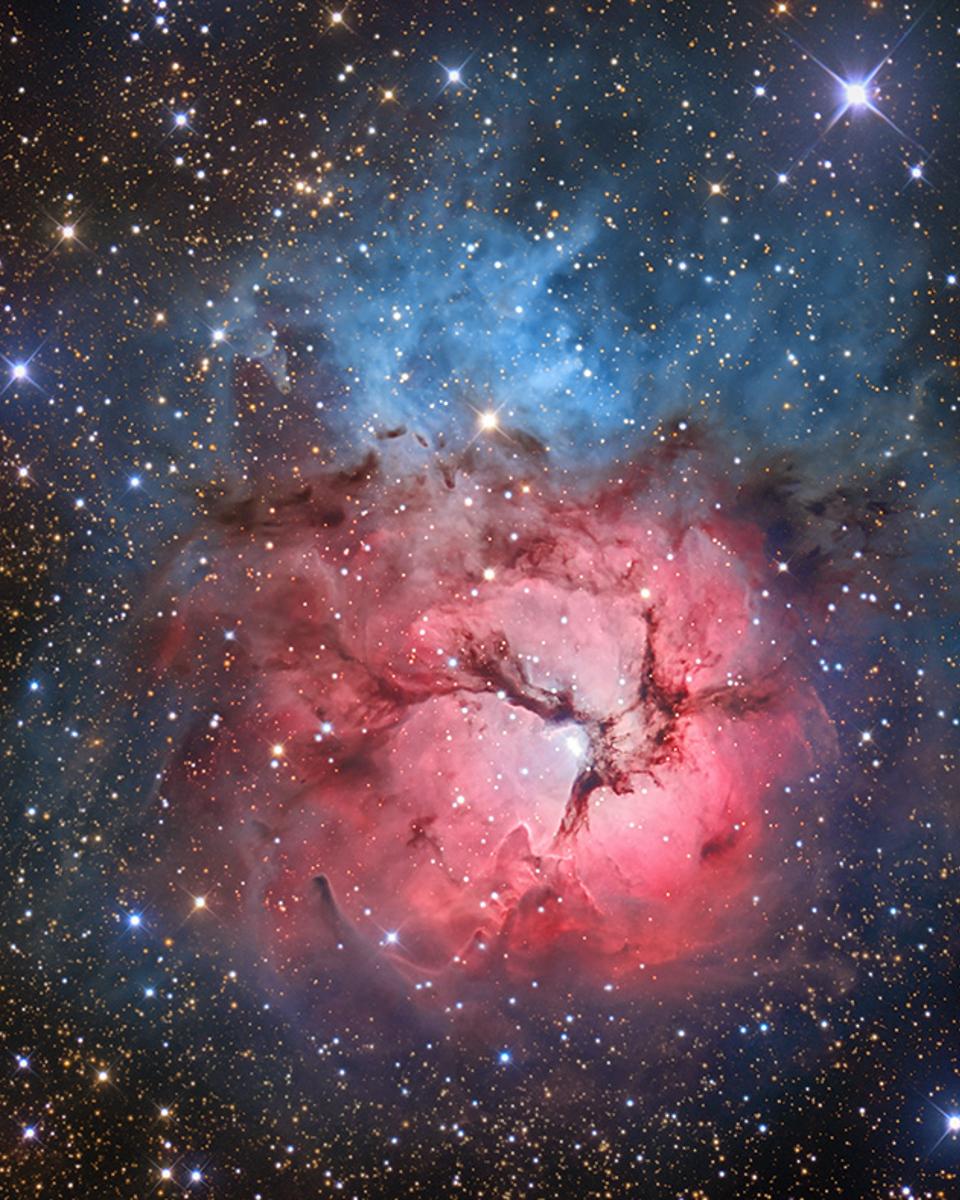 The Beautiful Trifid