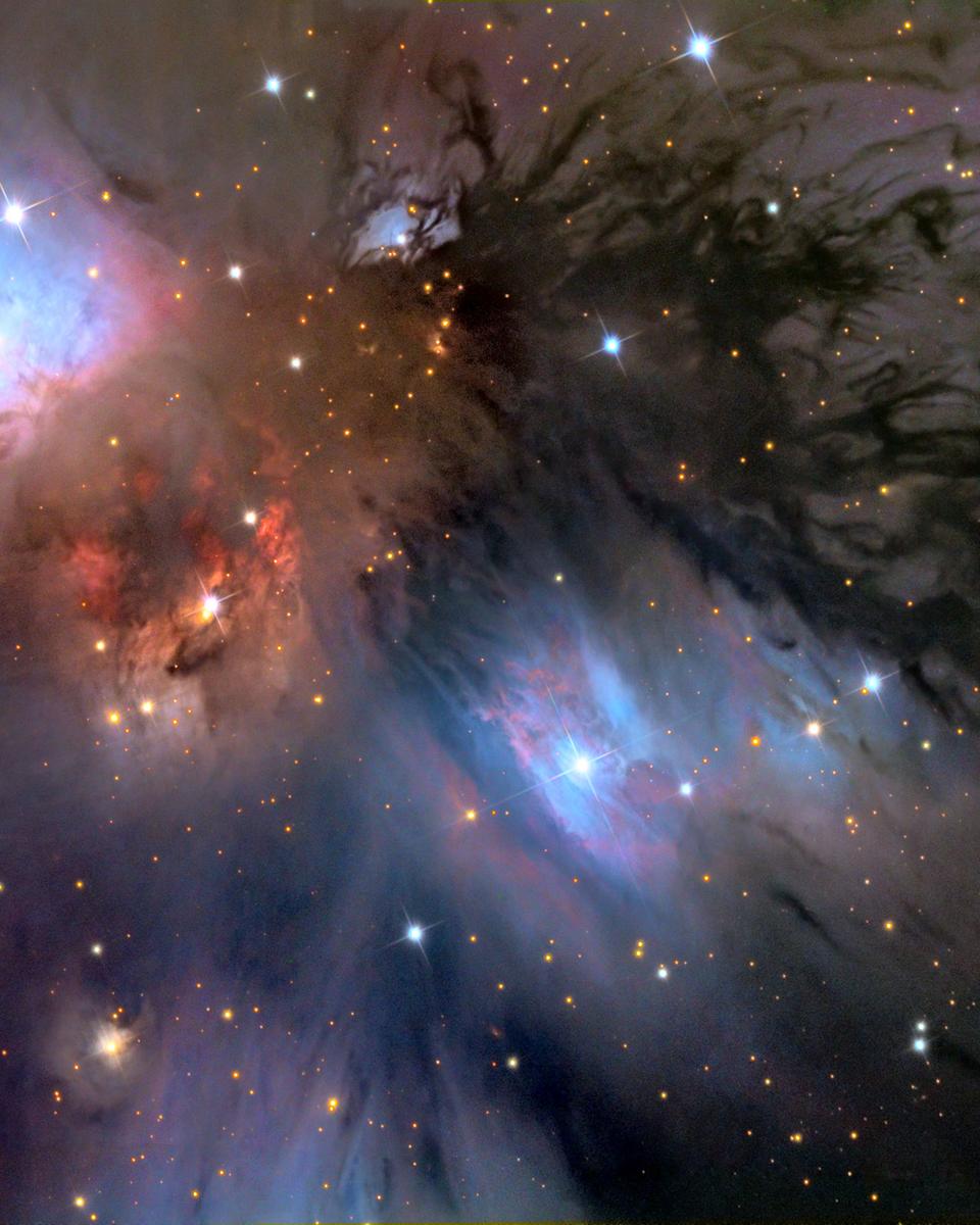 NGC 2170: Still Life with Reflecting Dust