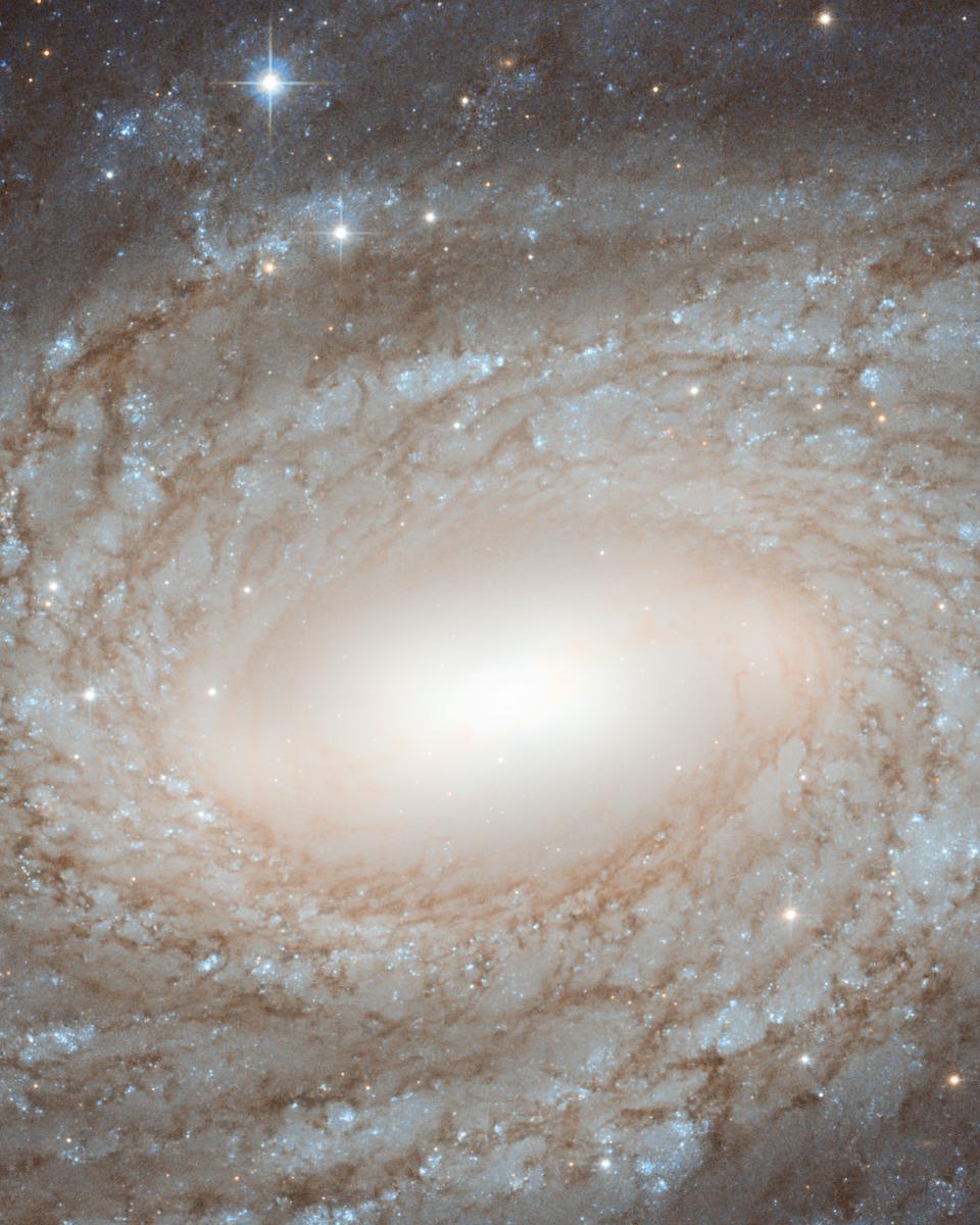 NGC 6384: Spiral Beyond the Stars