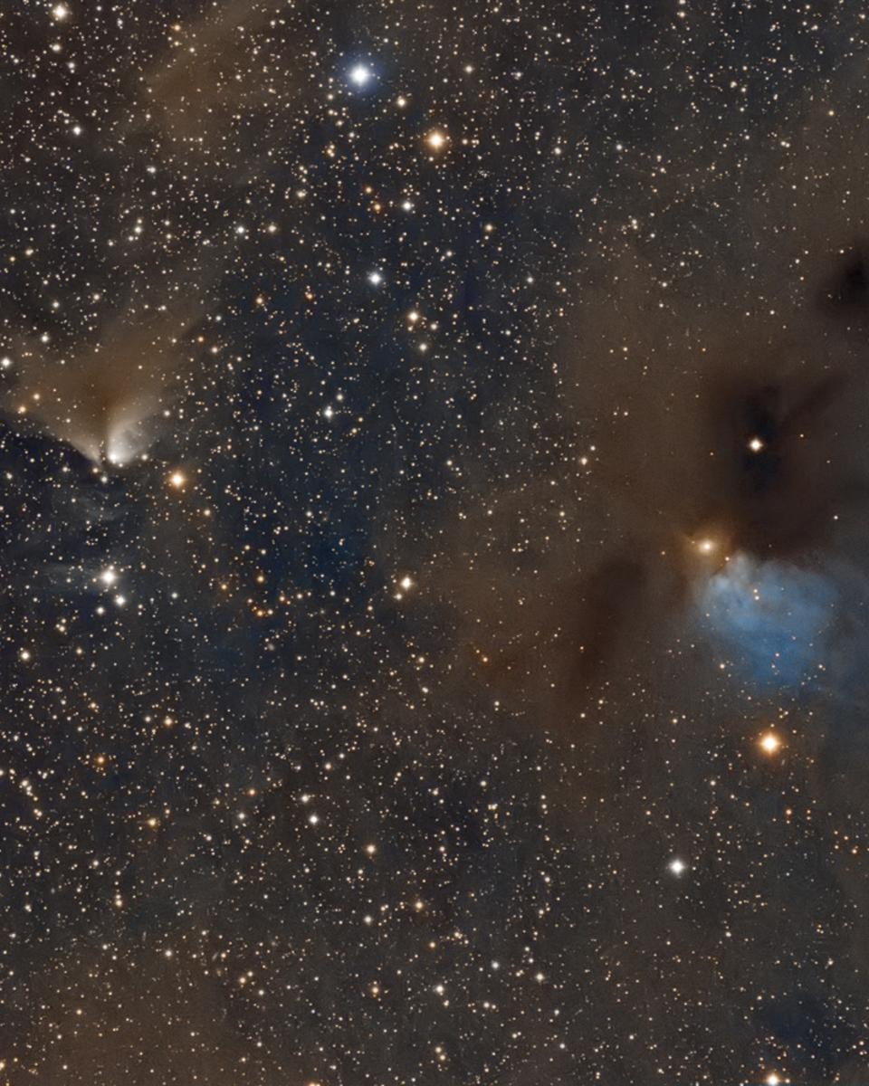 Dusty Nebulae in Taurus