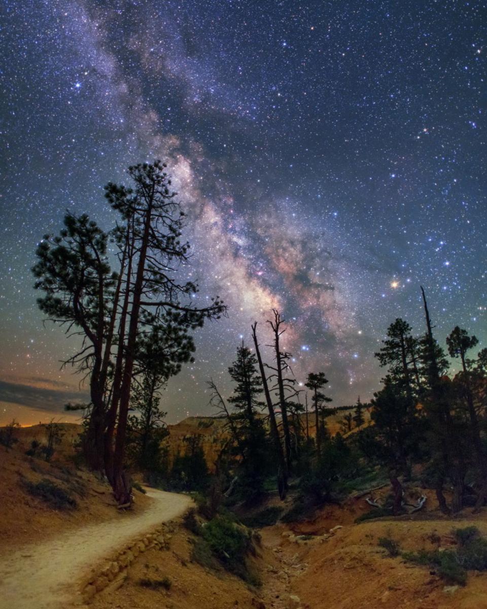 The Milky Trail