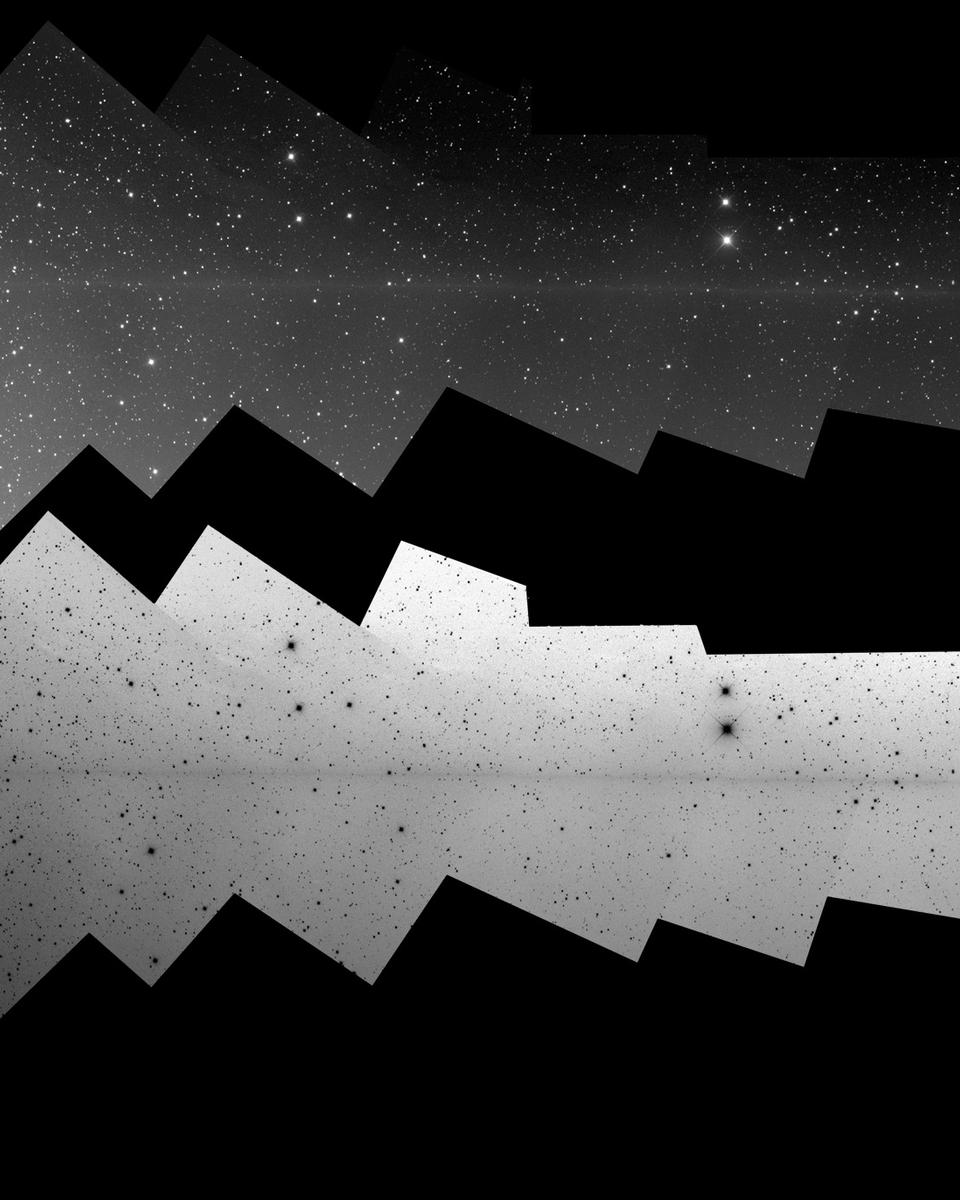 PanSTARRS: The Anti Tail Comet