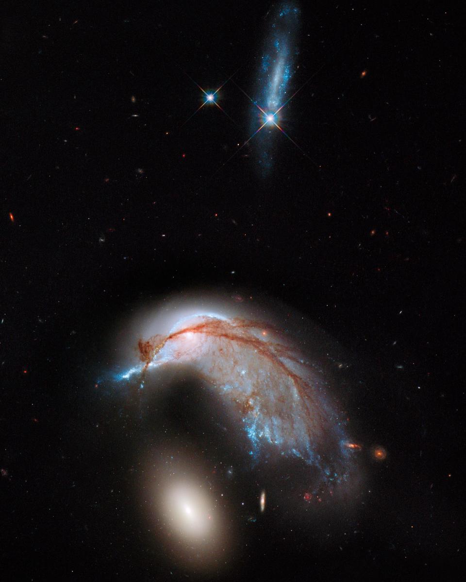 The Porpoise Galaxy from Hubble