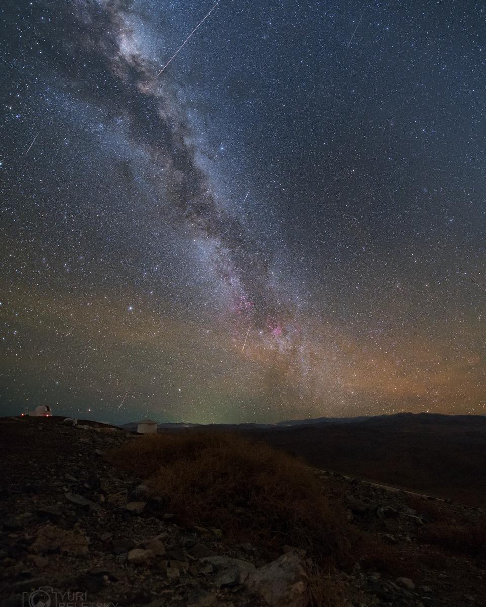 Delphinid Meteor Mystery