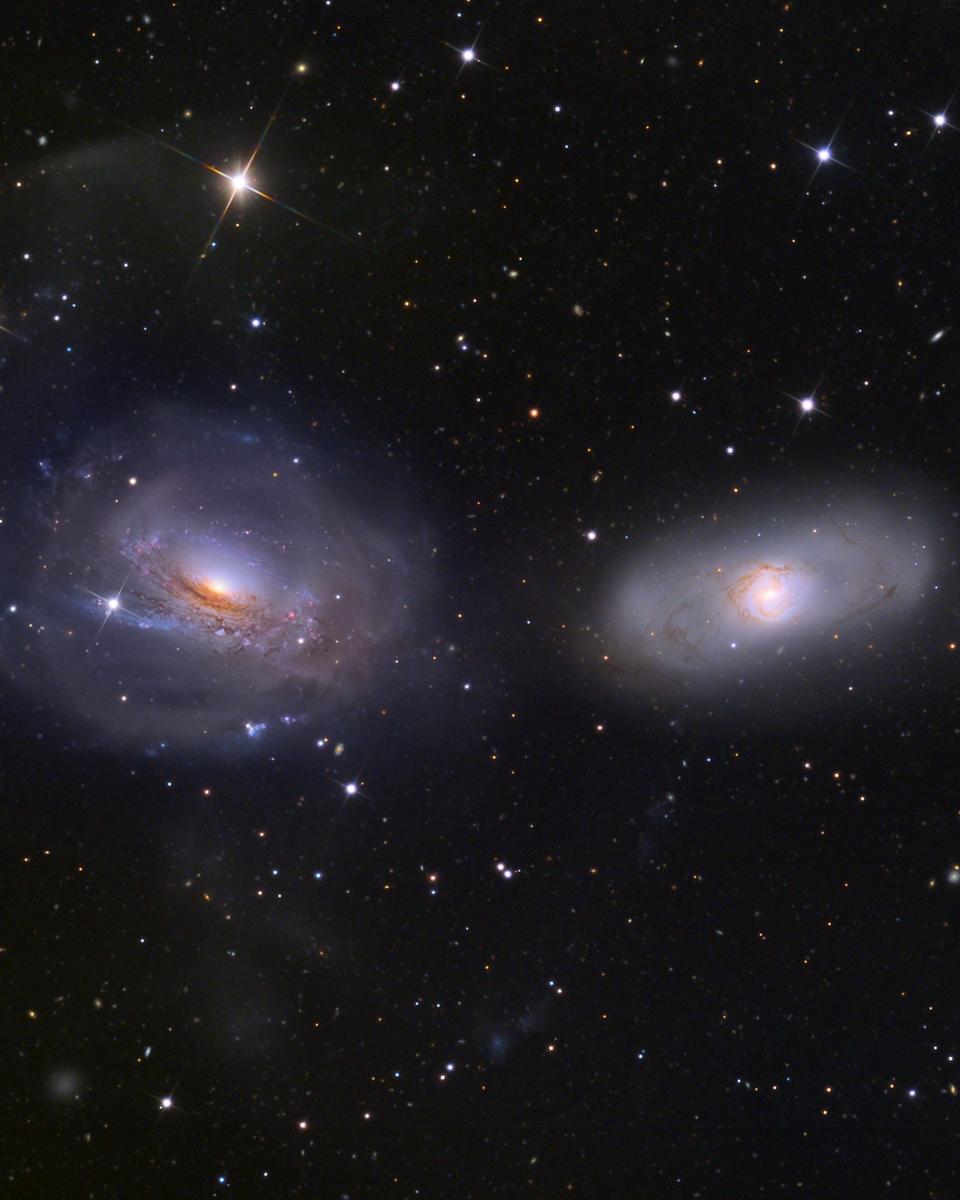 Unraveling NGC 3169