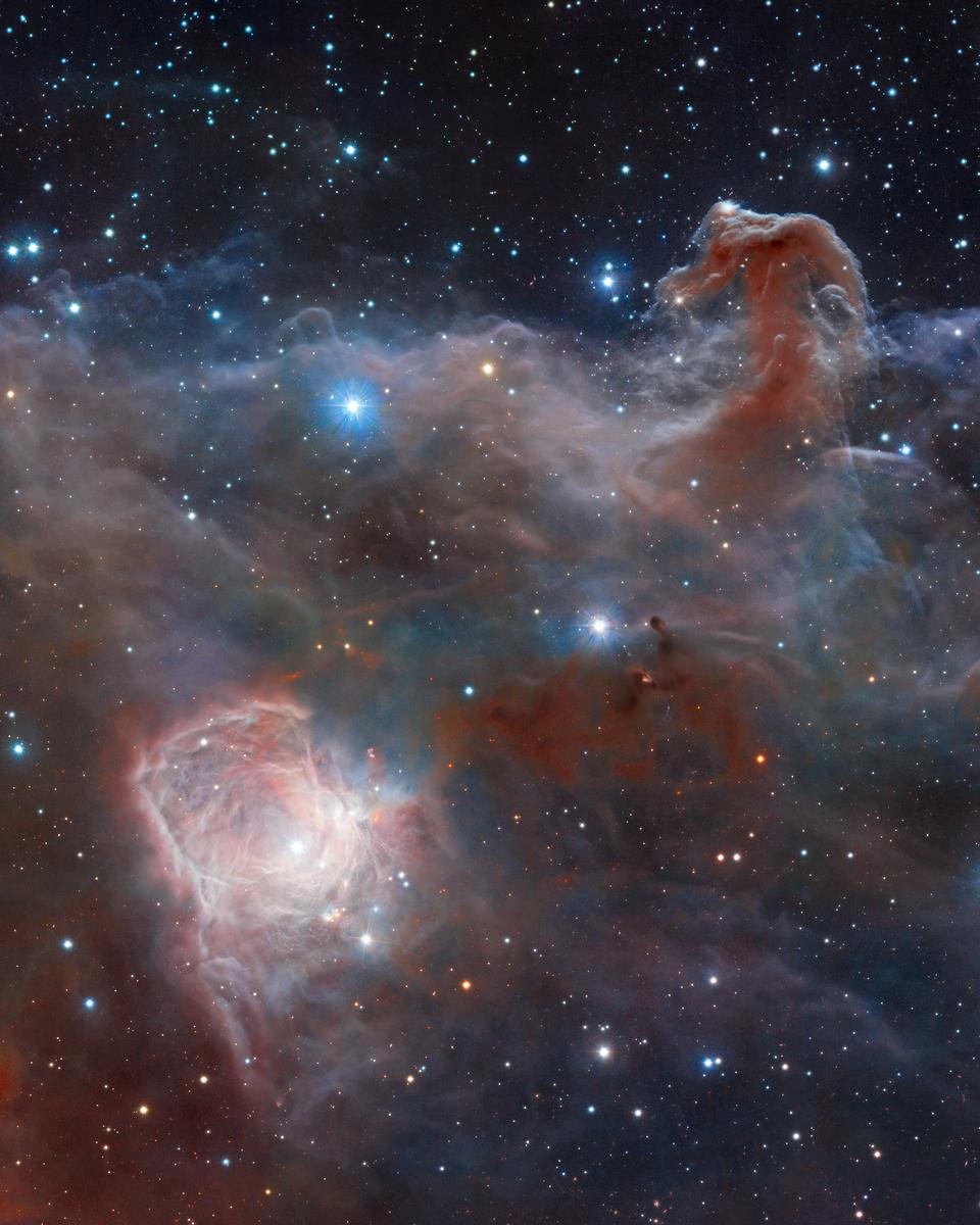 Horsehead: A Wider View
