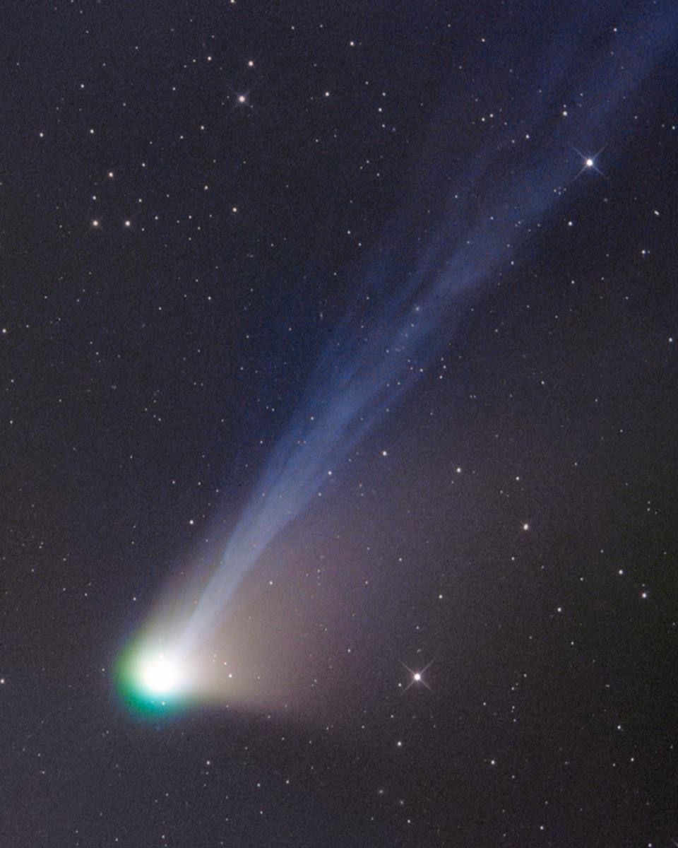 Tails of Comet Lemmon