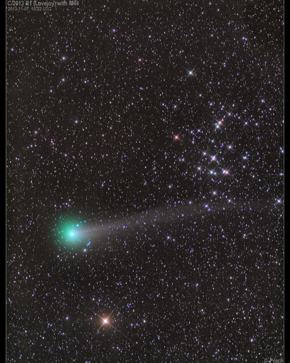 Comet Lovejoy with M44