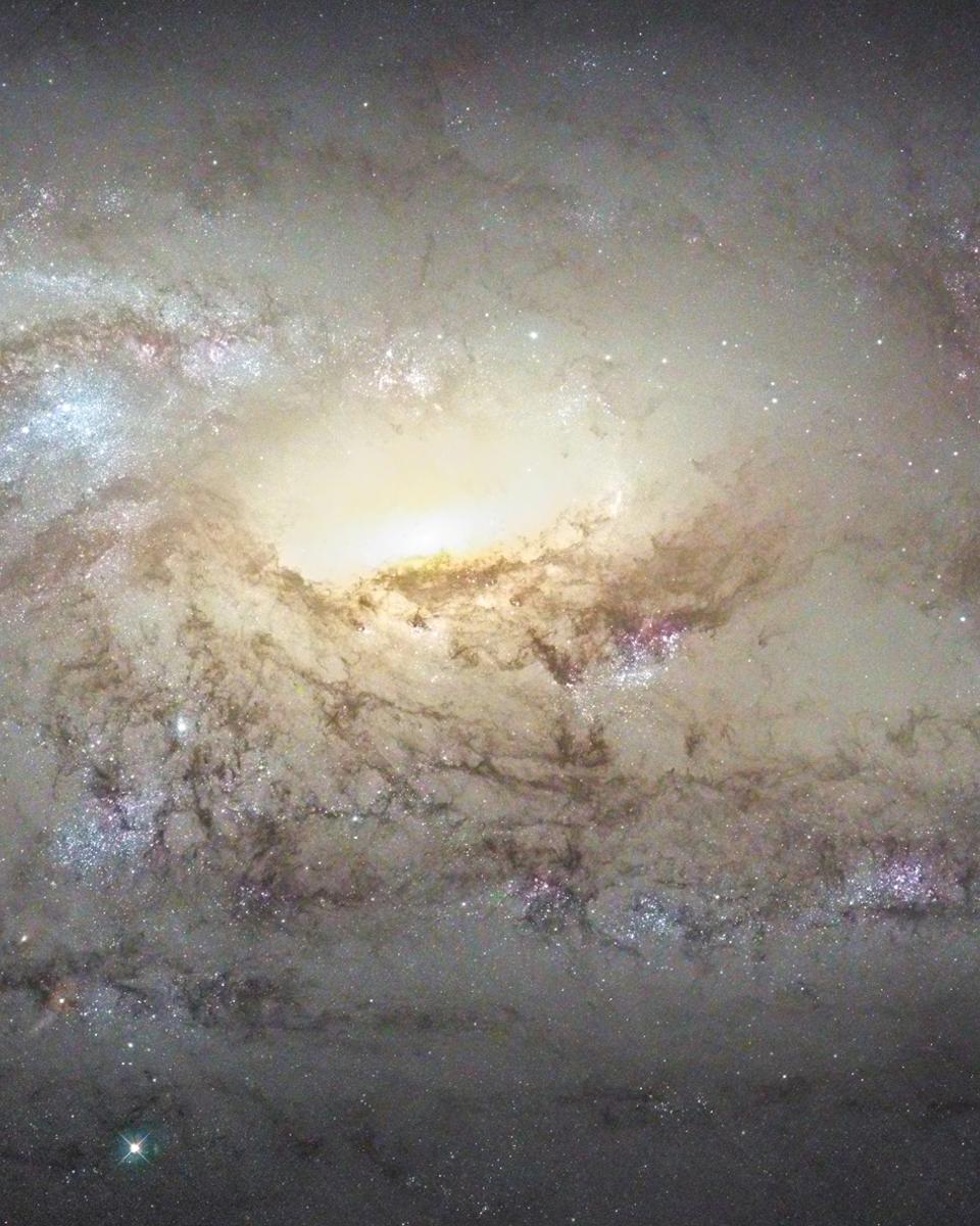 M106 Close Up