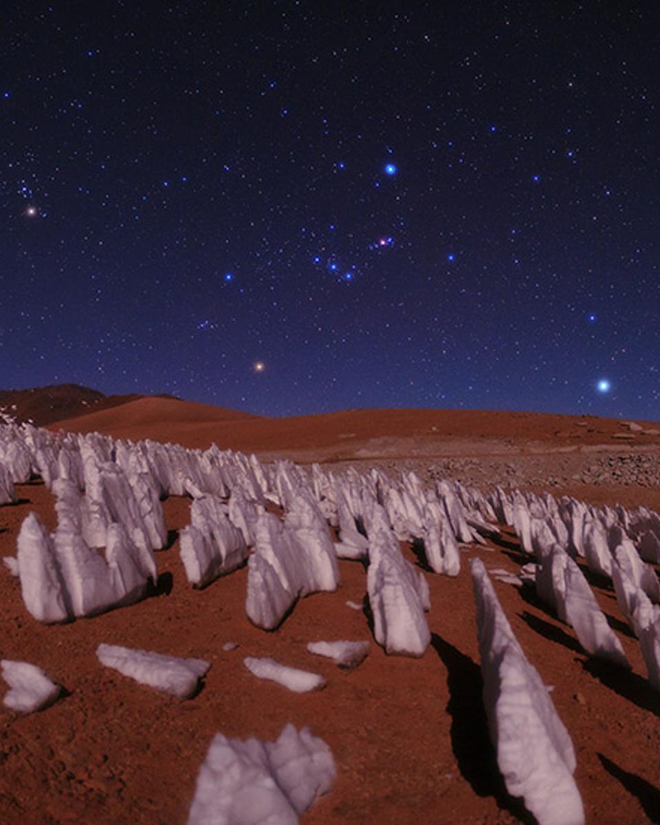 Night in the Andes Ice Forest