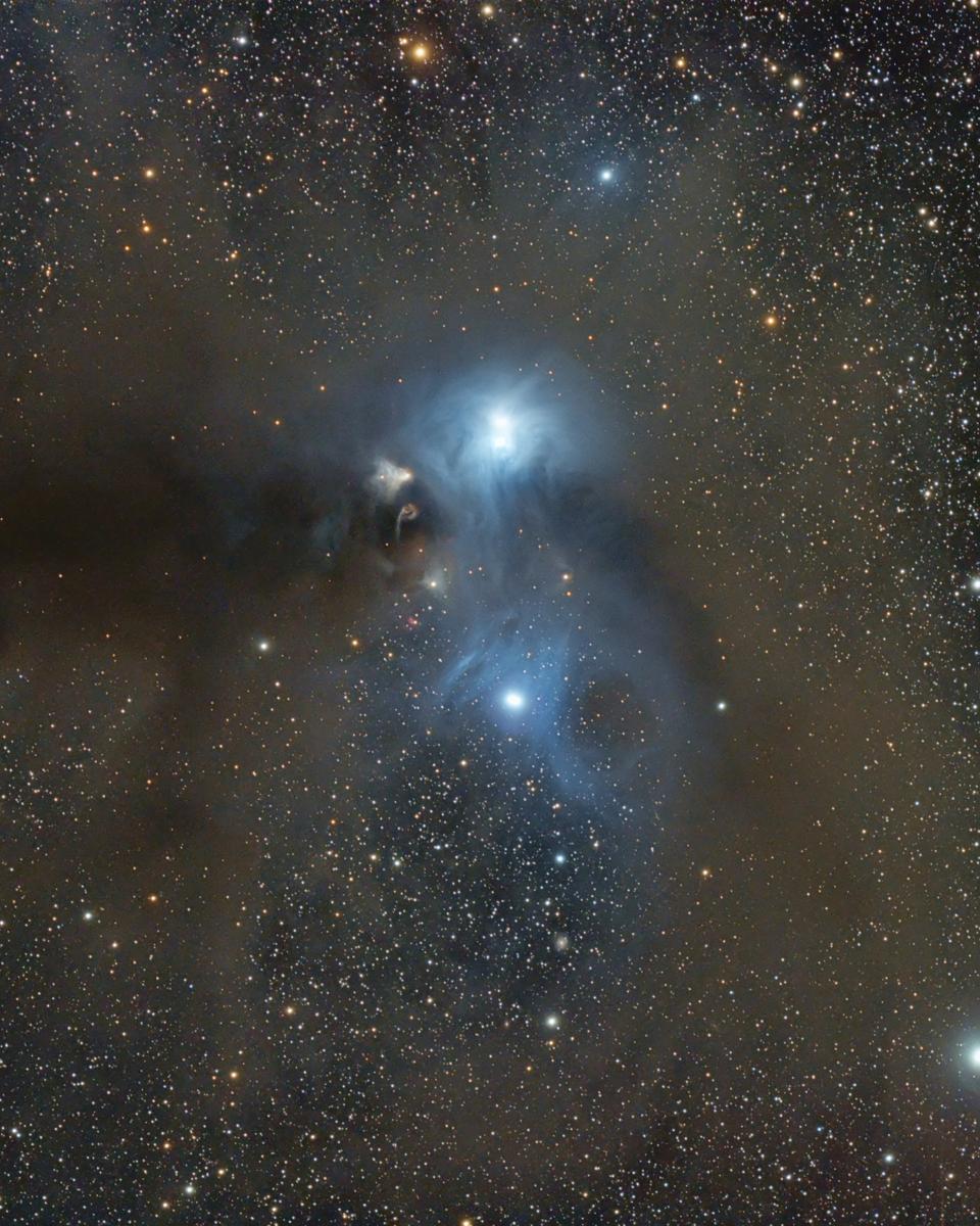 Stars and Dust Across Corona Australis