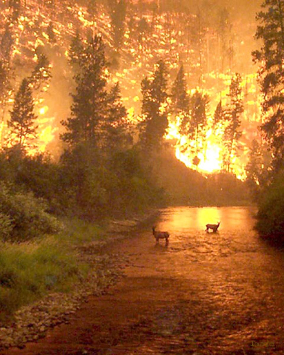 Fire on Earth