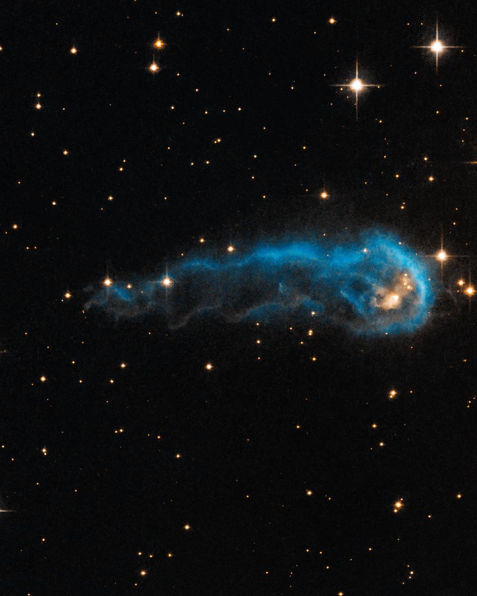 IRAS 20324: Evaporating Protostar