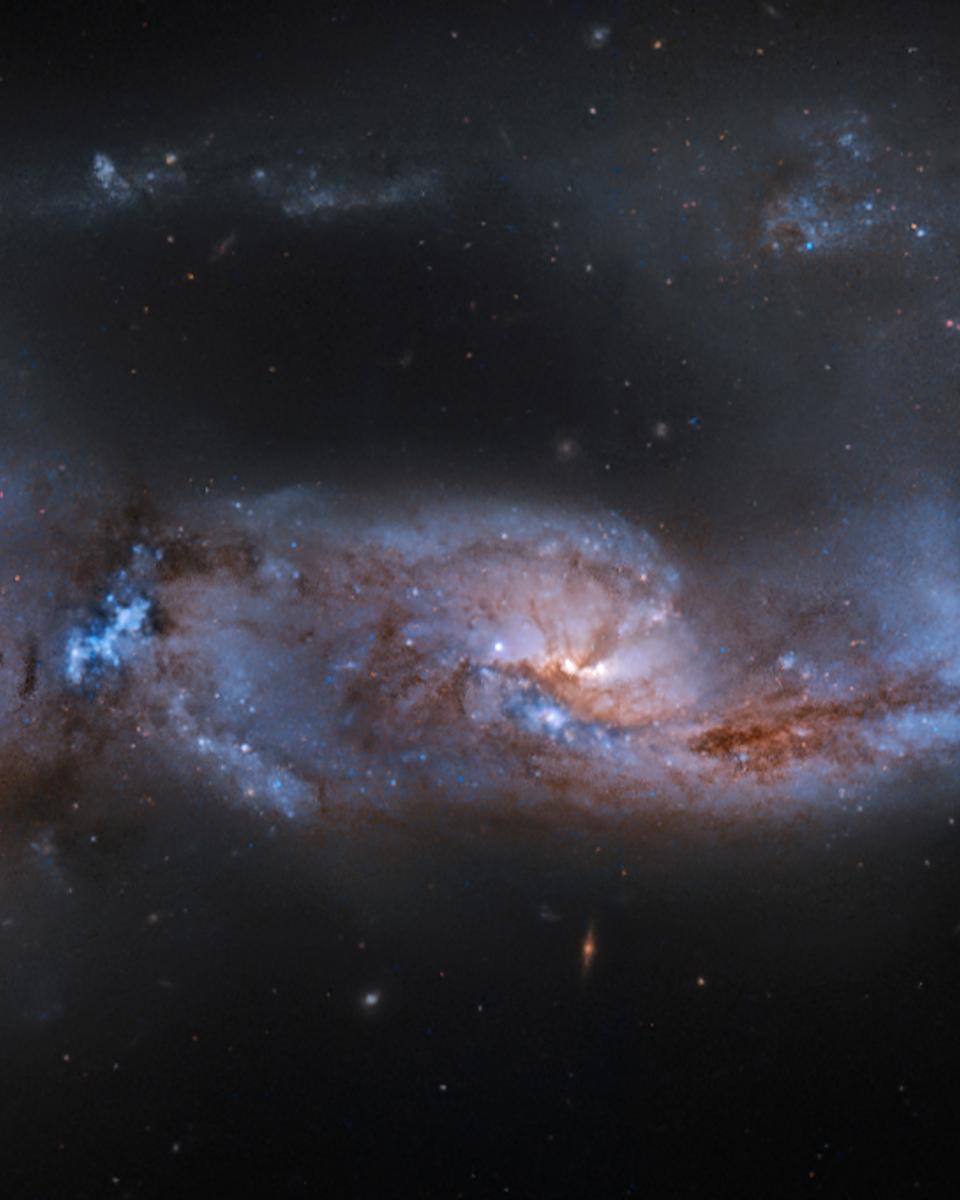 Arp 81: 100 Million Years Later