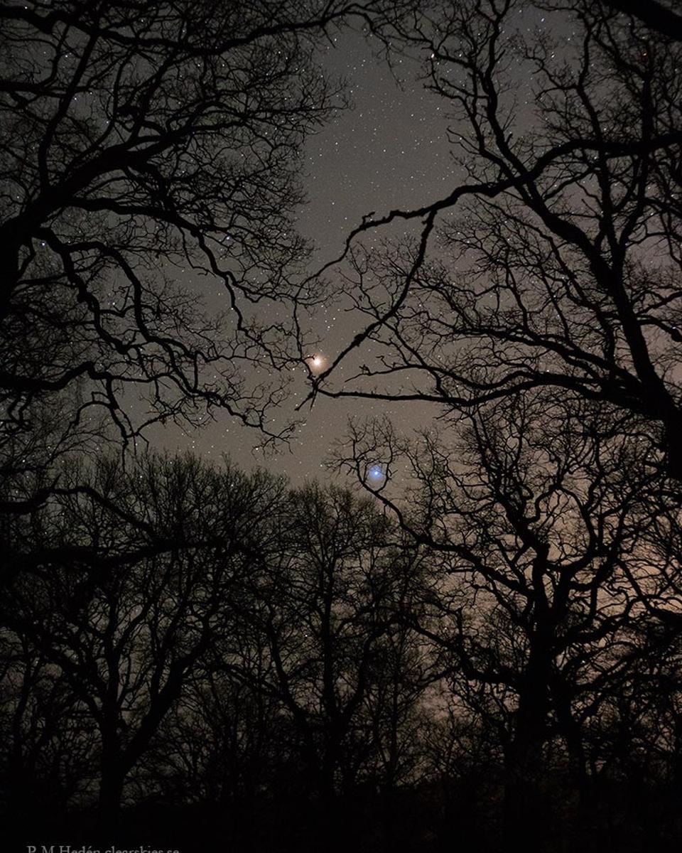 Mars Red and Spica Blue
