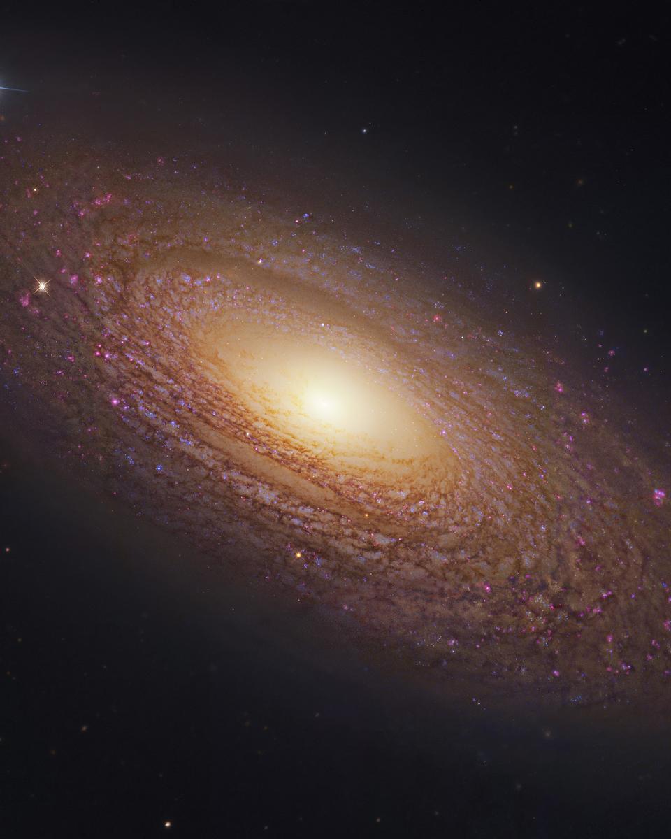 Massive Nearby Spiral Galaxy NGC 2841