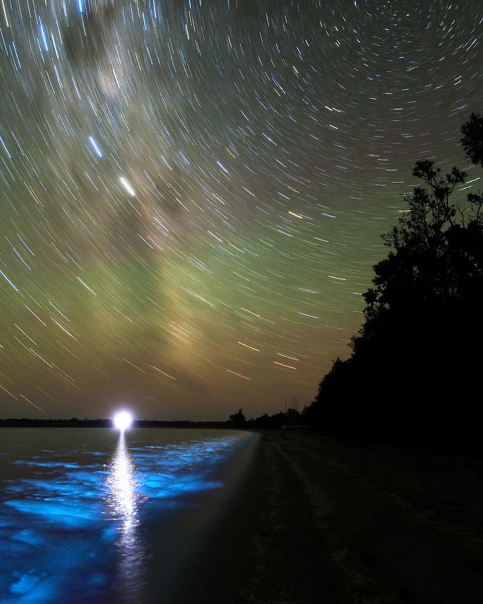 A Luminous Night