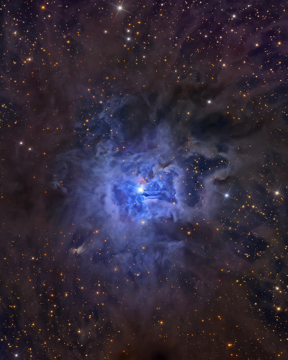 NGC 7023: The Iris Nebula