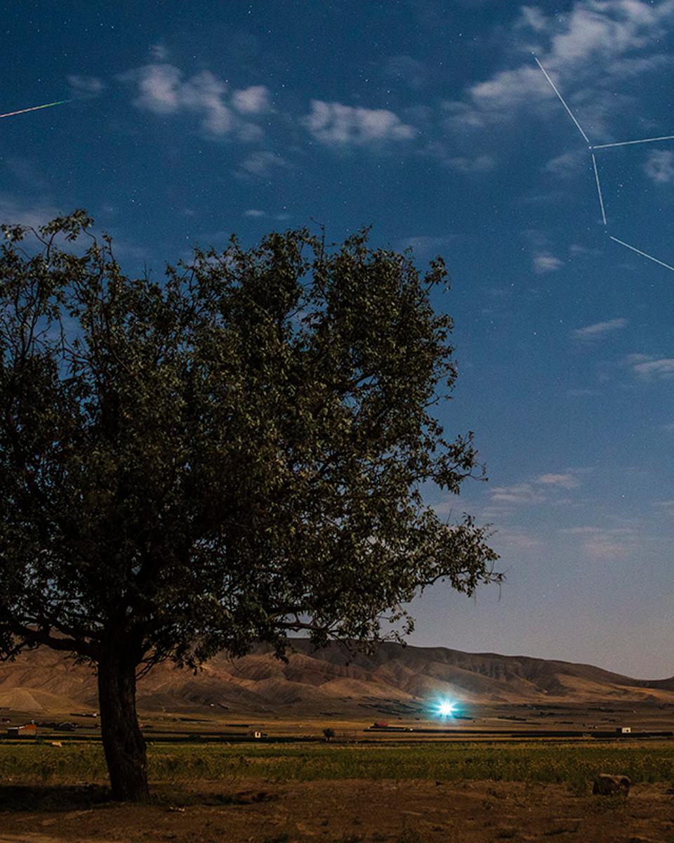 Perseid in Moonlight