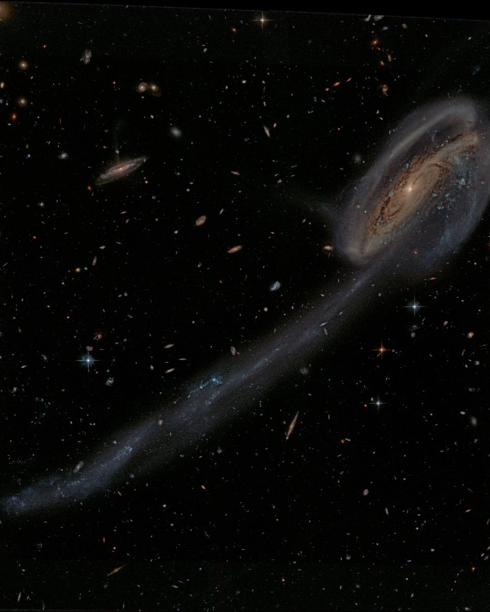 Arp 188 and the Tadpole's Tail