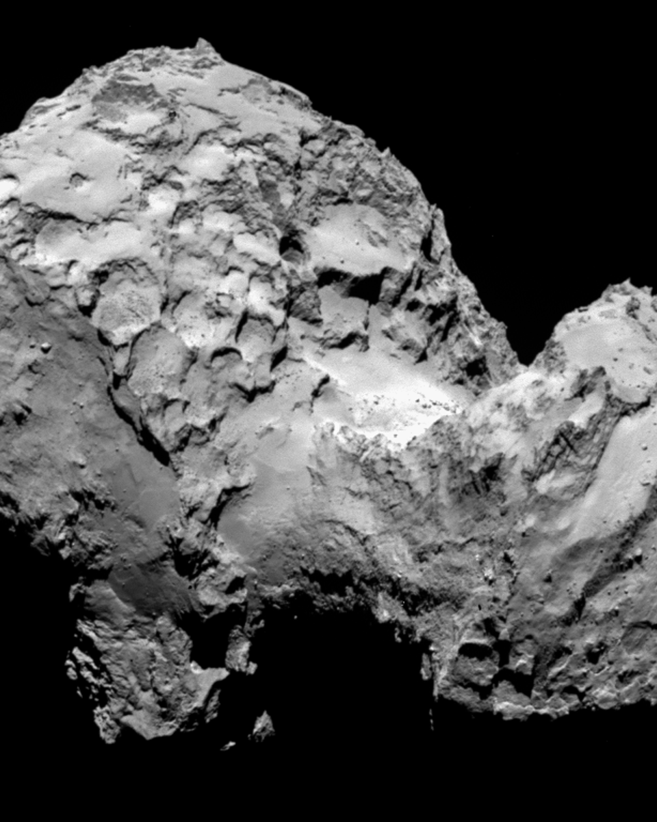 Rosetta's Rendezvous