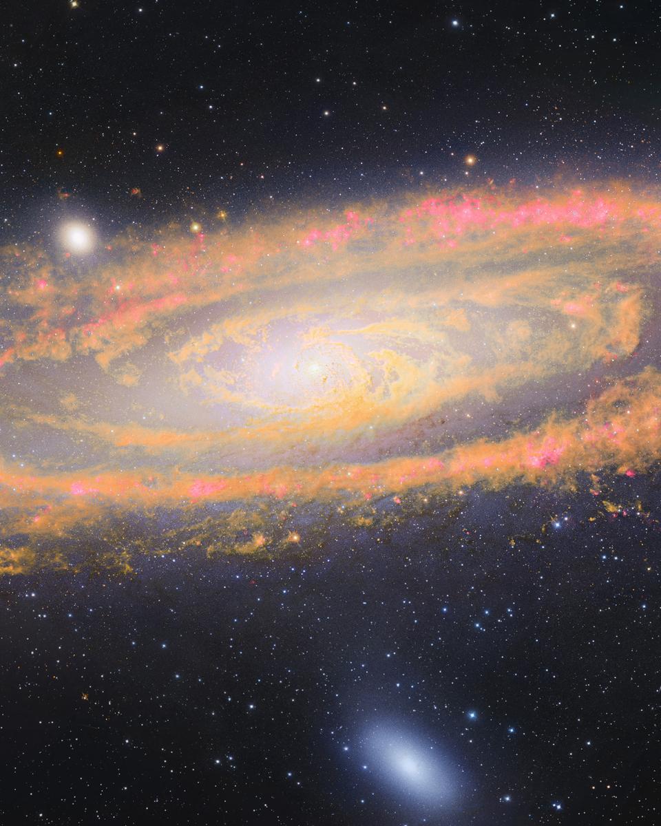 The Infrared Visible Andromeda