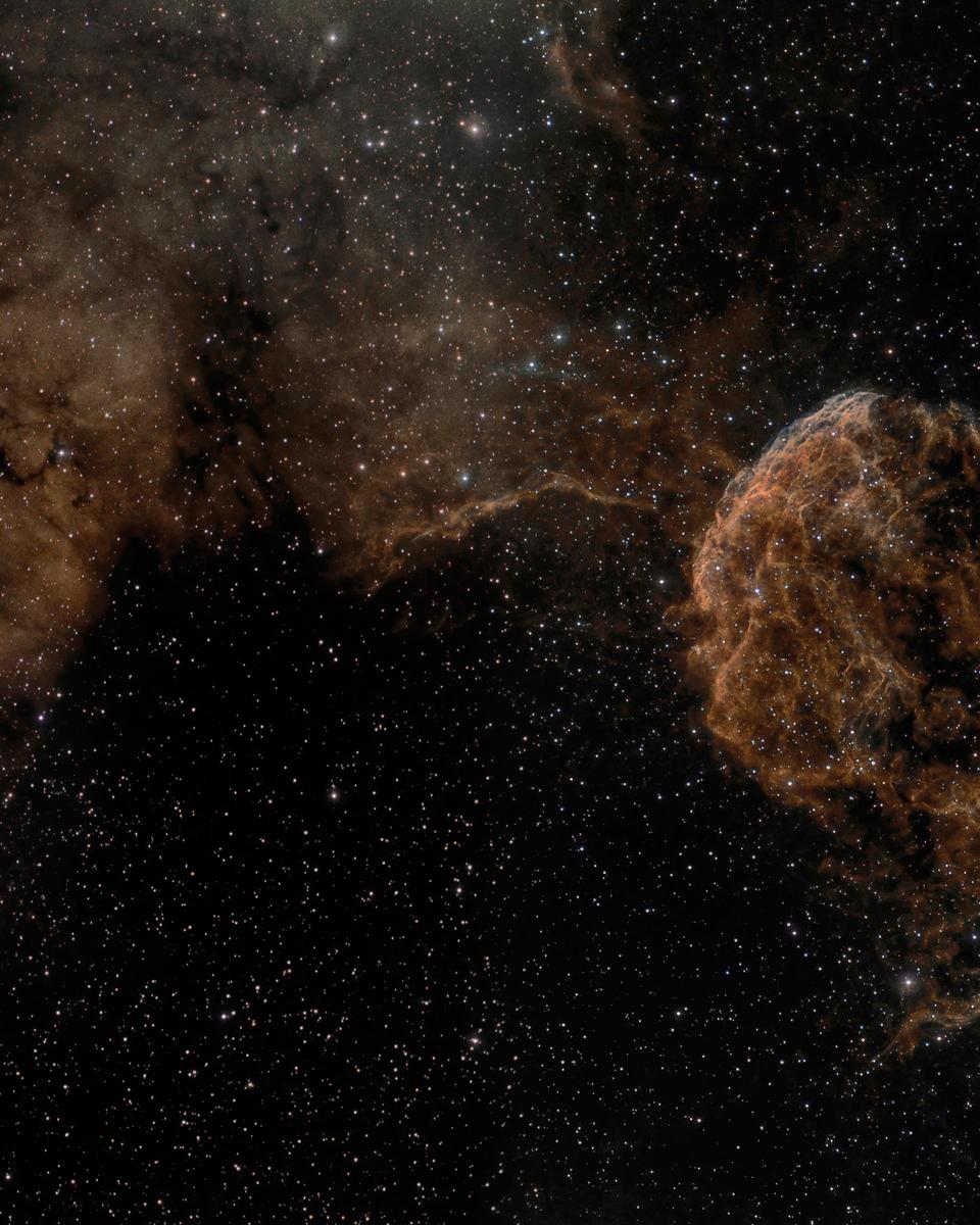 Sharpless 249 and the Jellyfish Nebula