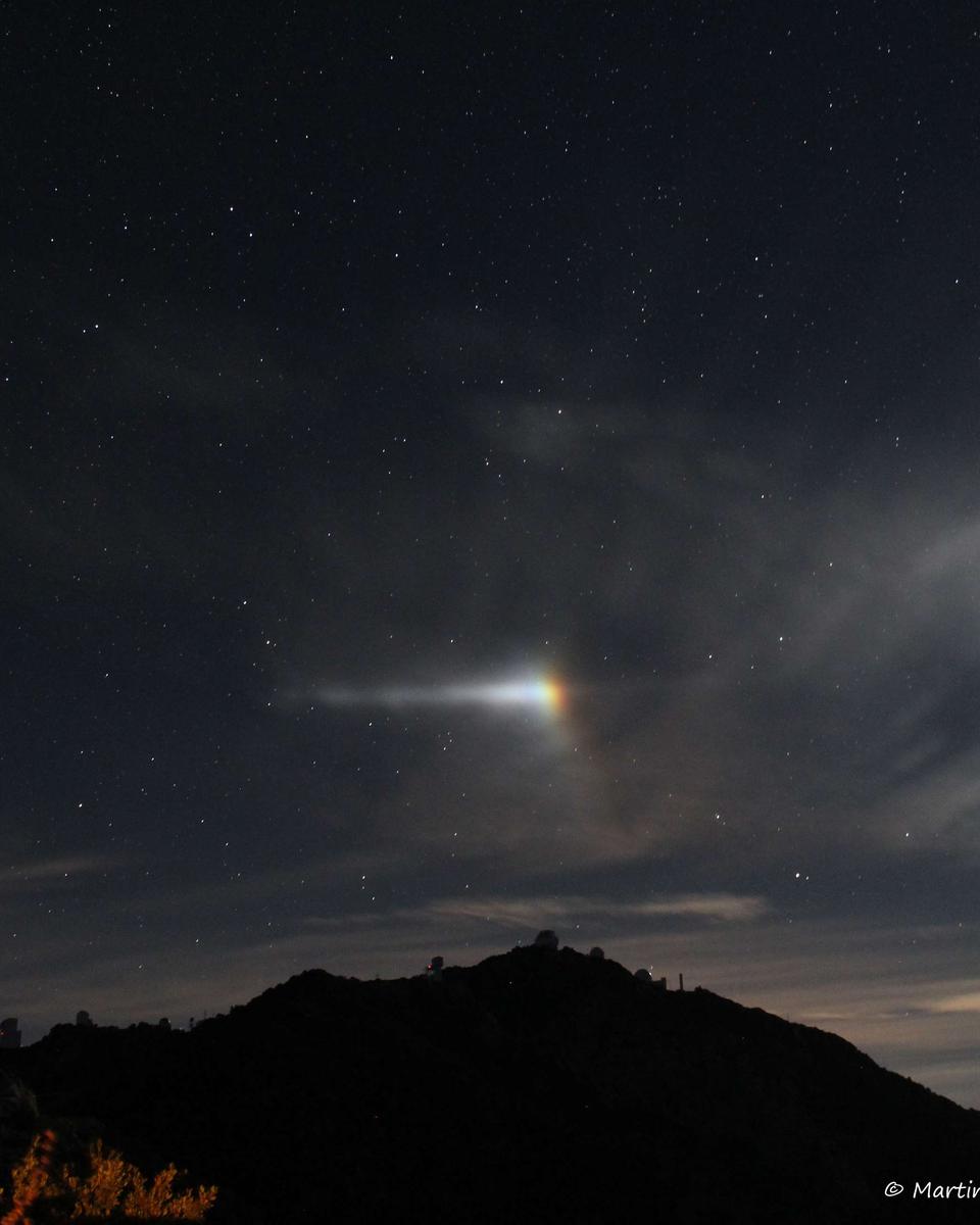 Moondog Night