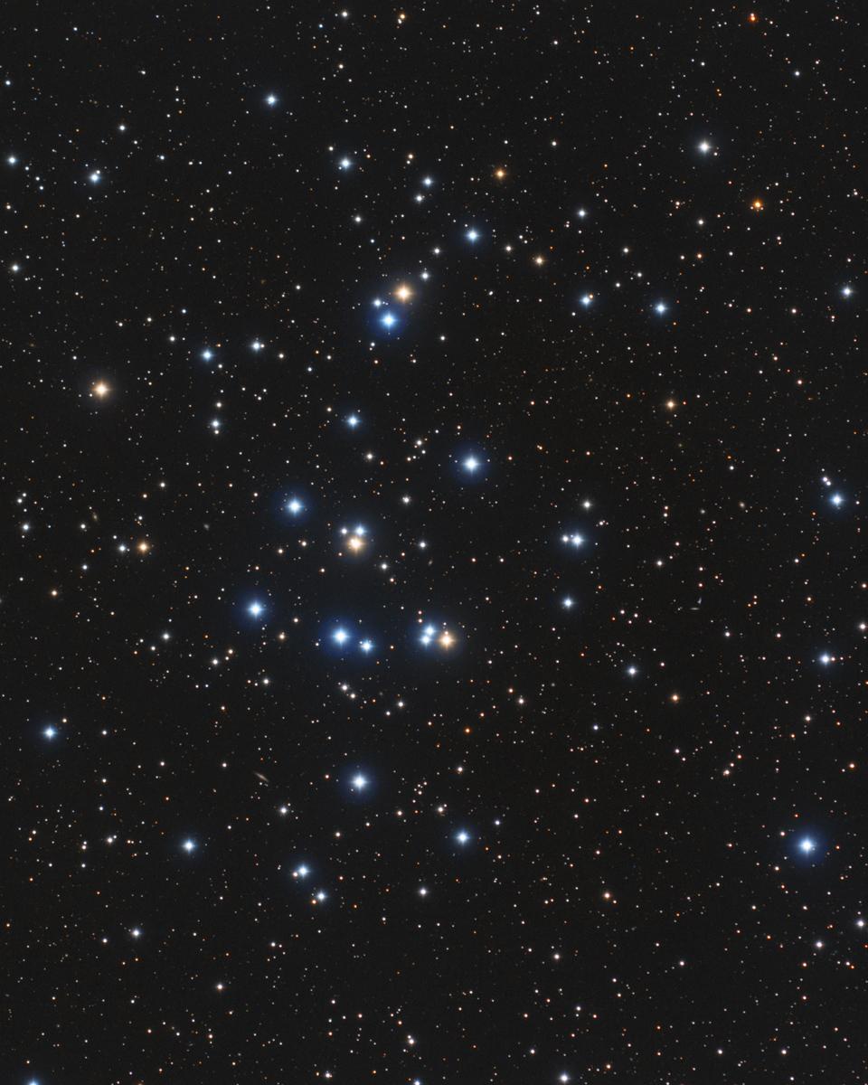 M44: The Beehive Cluster