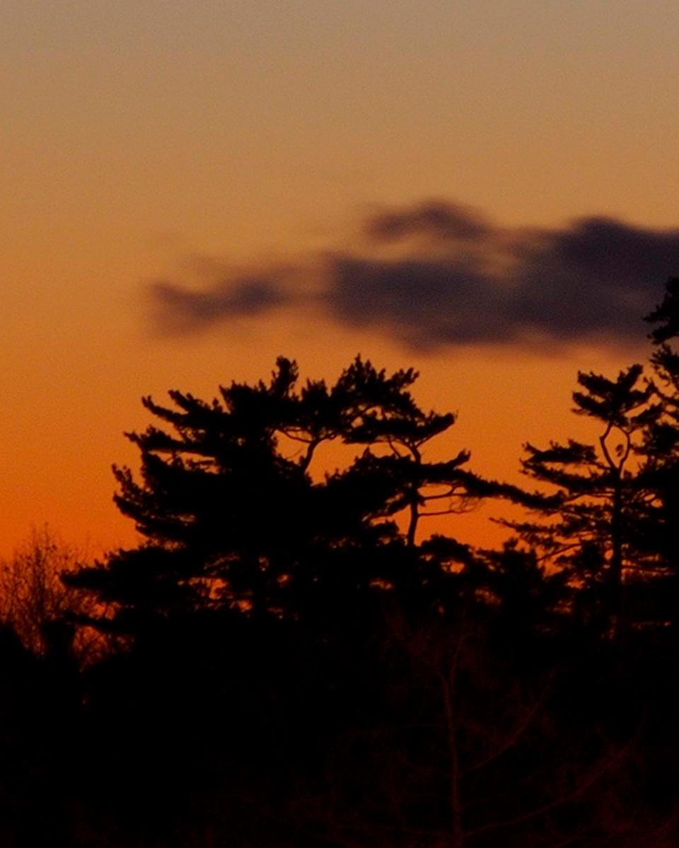 A New Year's Crescent