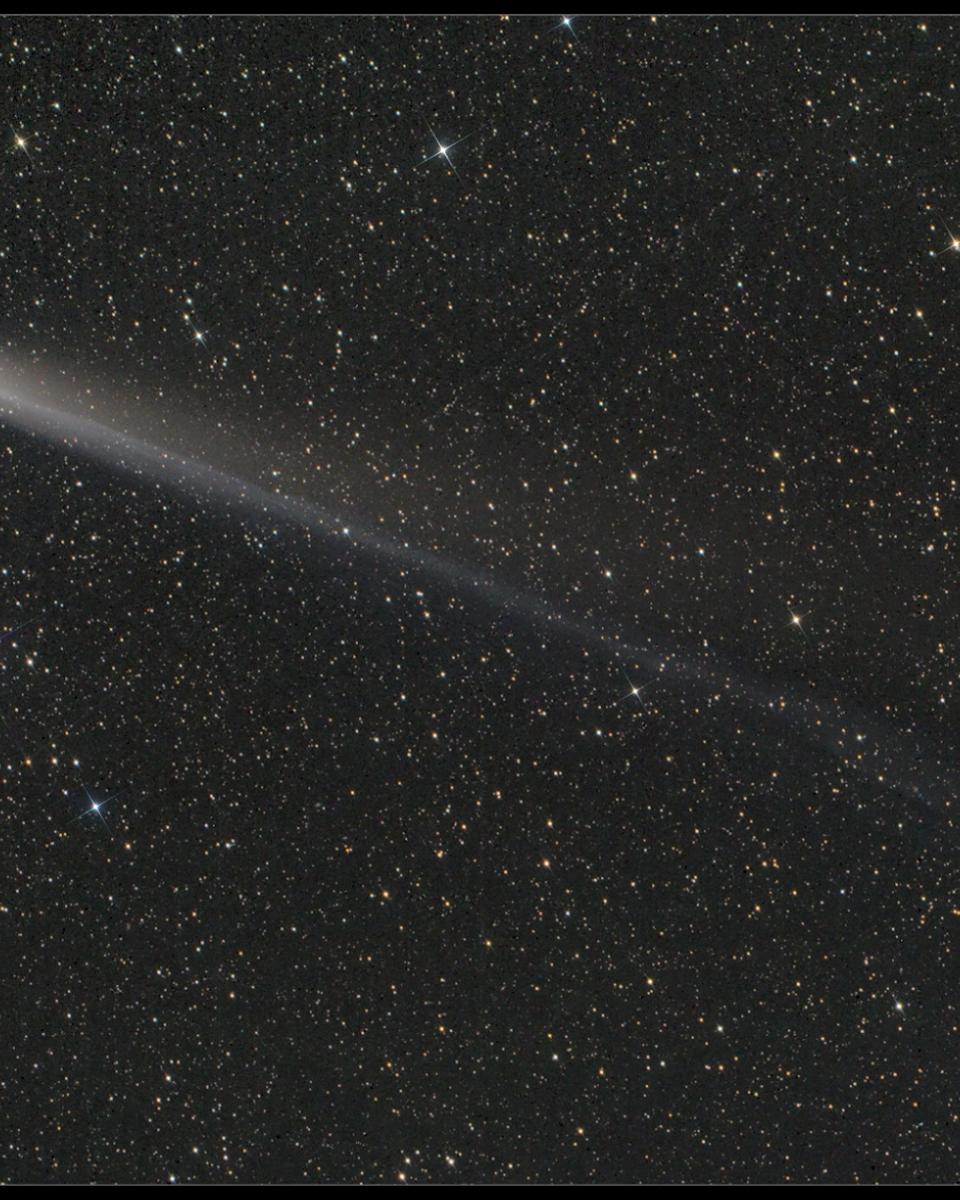 Lovejoy in the New Year