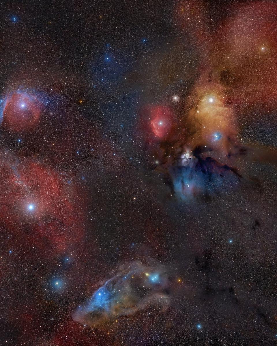 Rho Ophiuchi Wide Field