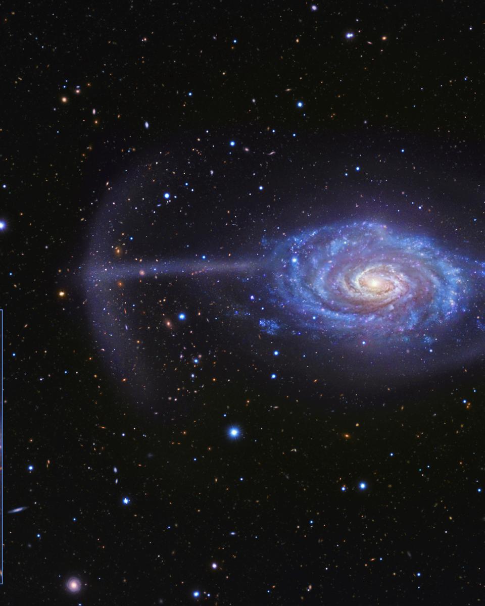 NGC 4651: The Umbrella Galaxy