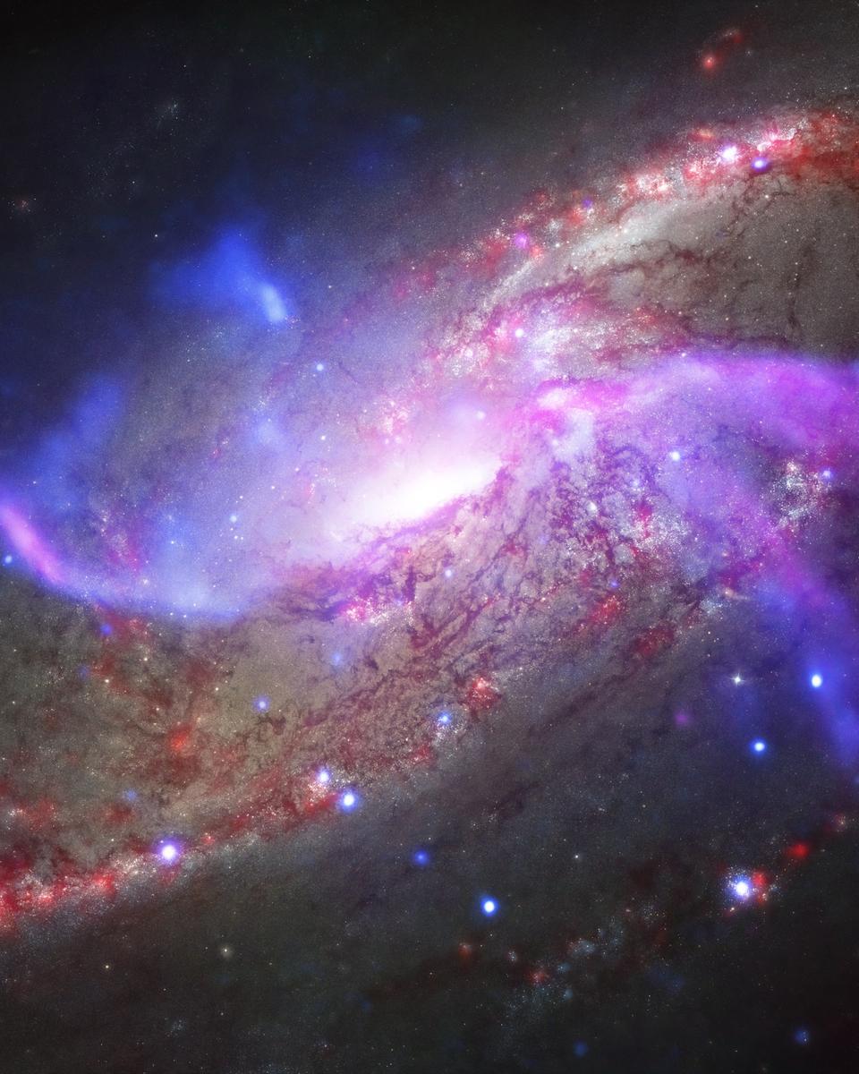 M106 Across the Spectrum