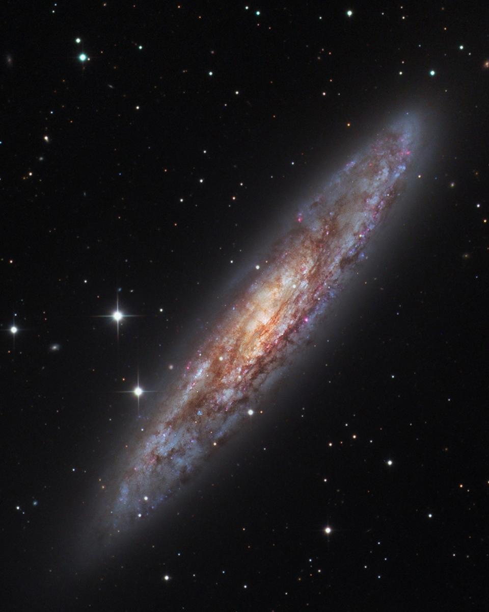 NGC 253: Dusty Island Universe