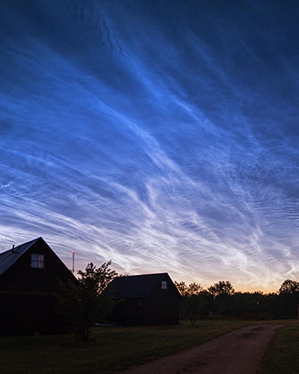 Veins of Heaven
