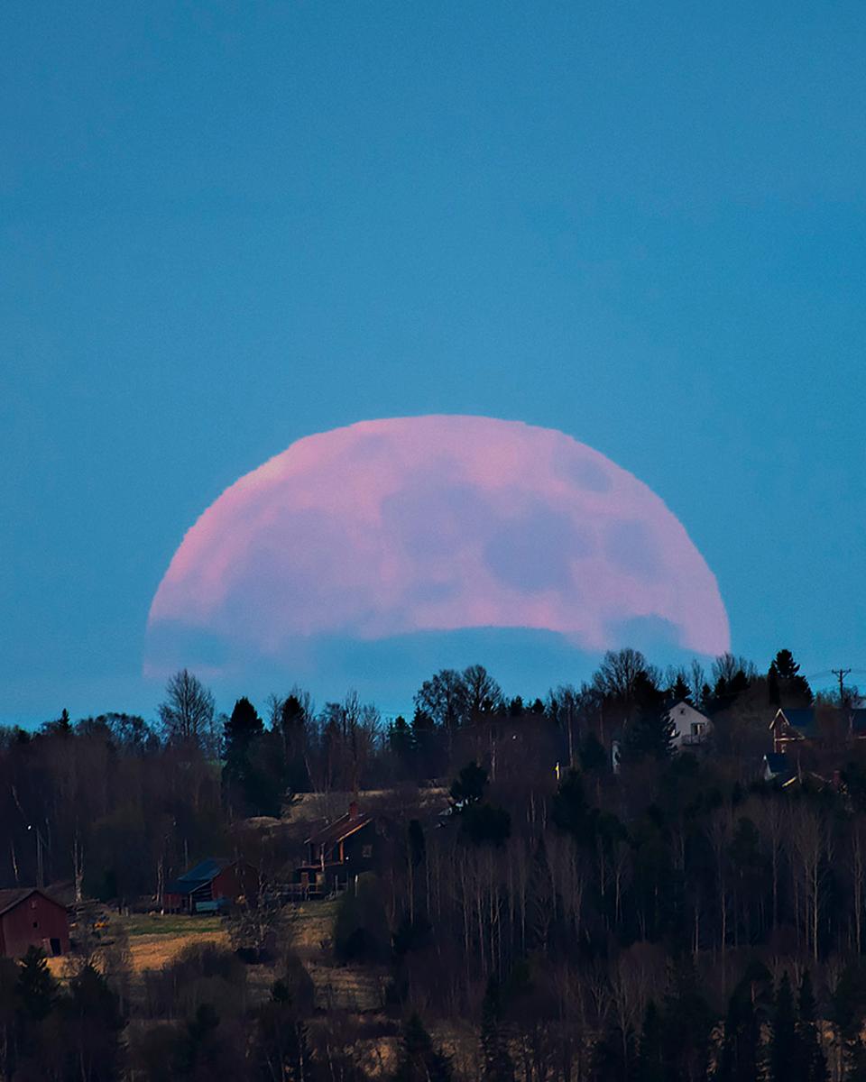 A Strawberry Moon